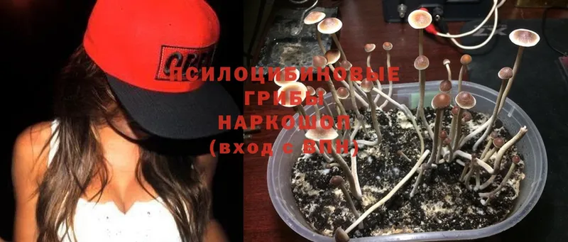 Галлюциногенные грибы MAGIC MUSHROOMS  mega ссылка  Нефтеюганск  купить  сайты 